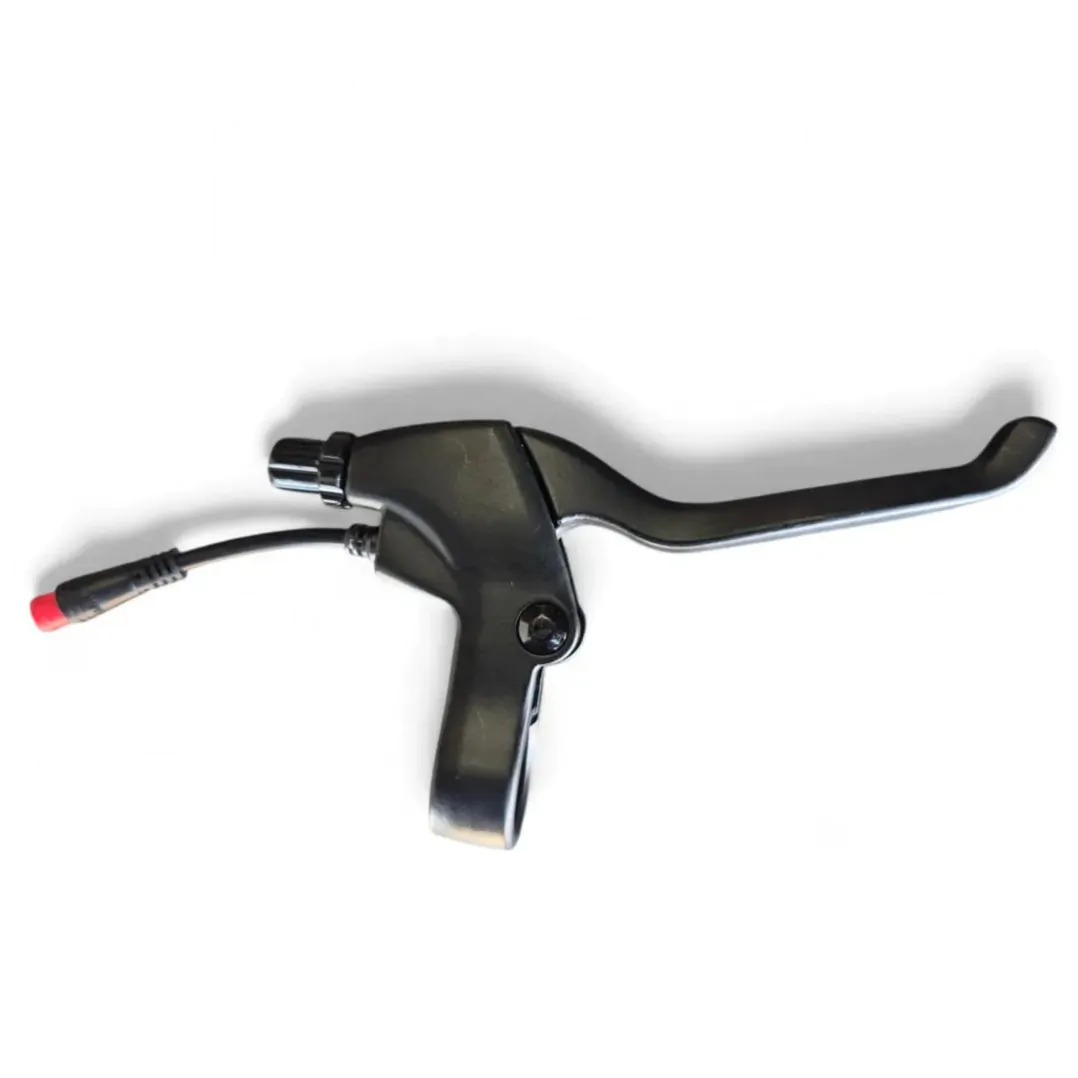 photo_2025-08-13_20-45-18 (2)-1